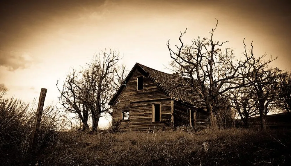 Reliable lawn care service in Akron, OH - Ai Property Solutions