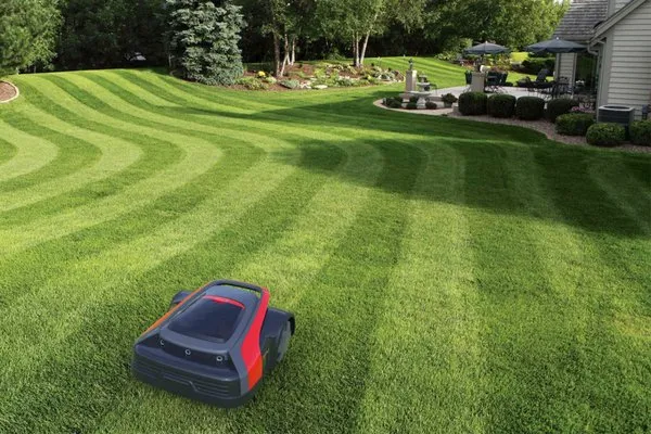 AI Robo Lawn Services