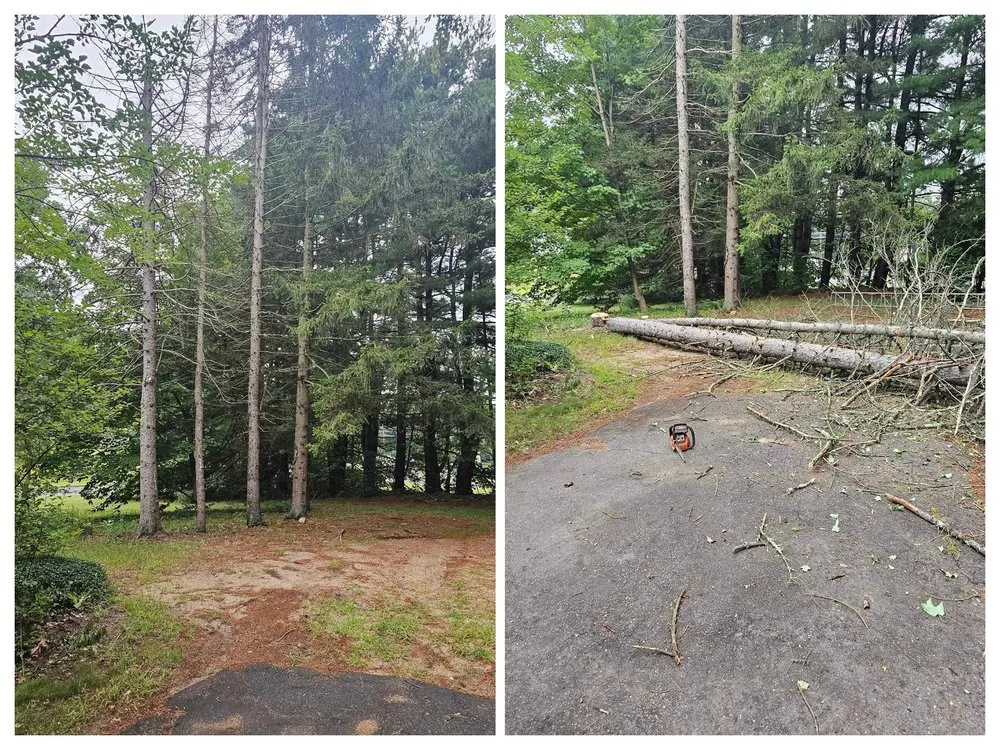 Custom lawn care service for beautiful yards across Ludlow, MA - A.i.A Property Maintenance