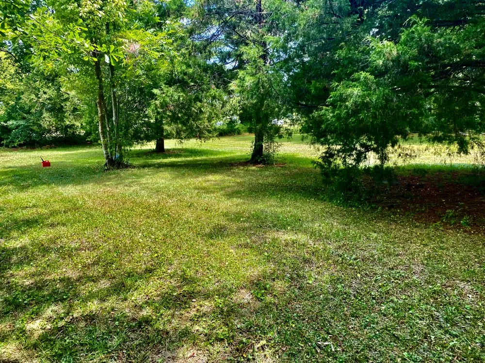 Local yard cleanup service in Whiteville, NC by Aidan’s Lawn Care and Handyman Services