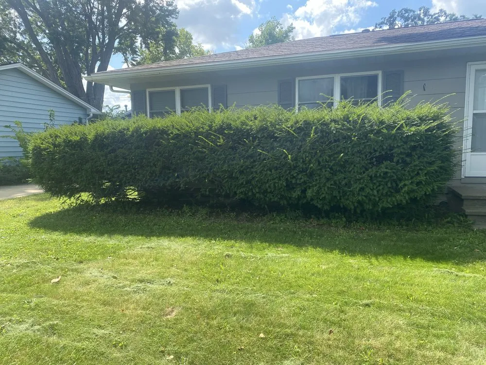 Reliable lawn mowing service near you in Cedar Rapids, IA by Aidan’s Lawn Care