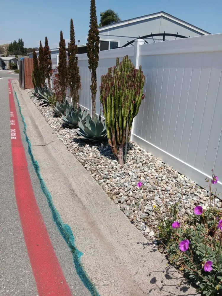 Trusted yard cleanup service in Corona, CA - Aiden’s Art Landscape