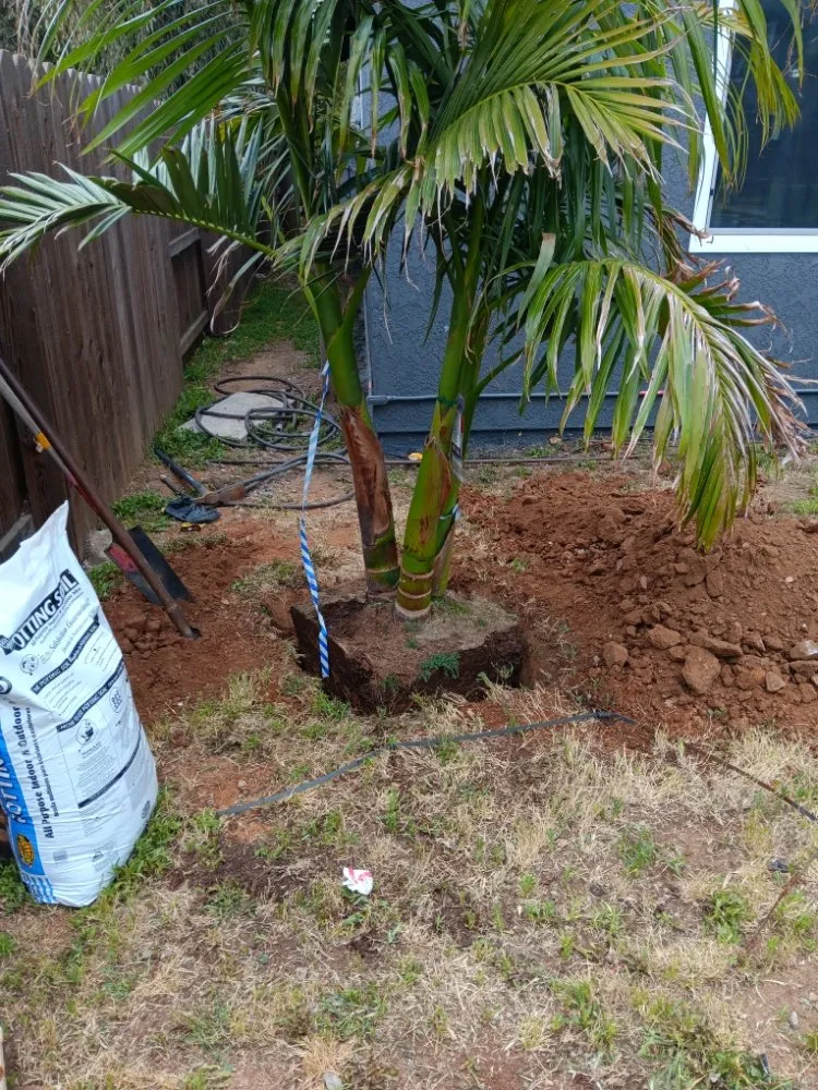 Local landscape design experts serving Corona, CA - Aiden’s Art Landscape