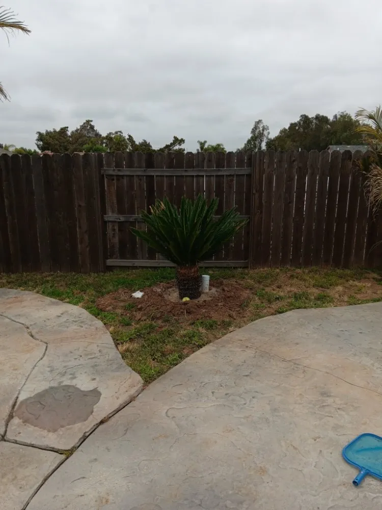 Top-rated yard cleanup service experts serving Corona, CA - Aiden’s Art Landscape