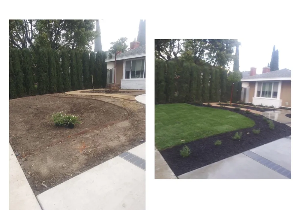 Expert yard cleanup service in Corona, CA - Aiden’s Art Landscape