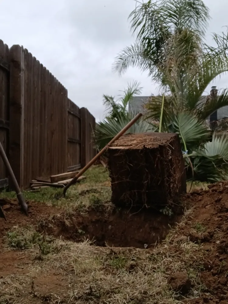 Top-rated lawn care service in Corona, CA by Aiden’s Art Landscape