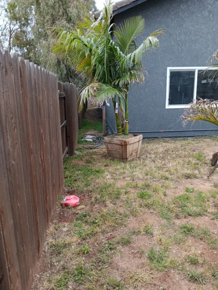 Top-rated yard maintenance for beautiful yards in Corona, CA by Aiden’s Art Landscape