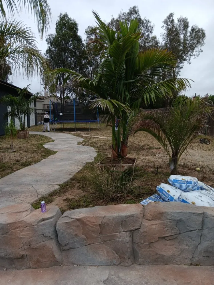 Local yard cleanup service for residential properties in Corona, CA by Aiden’s Art Landscape