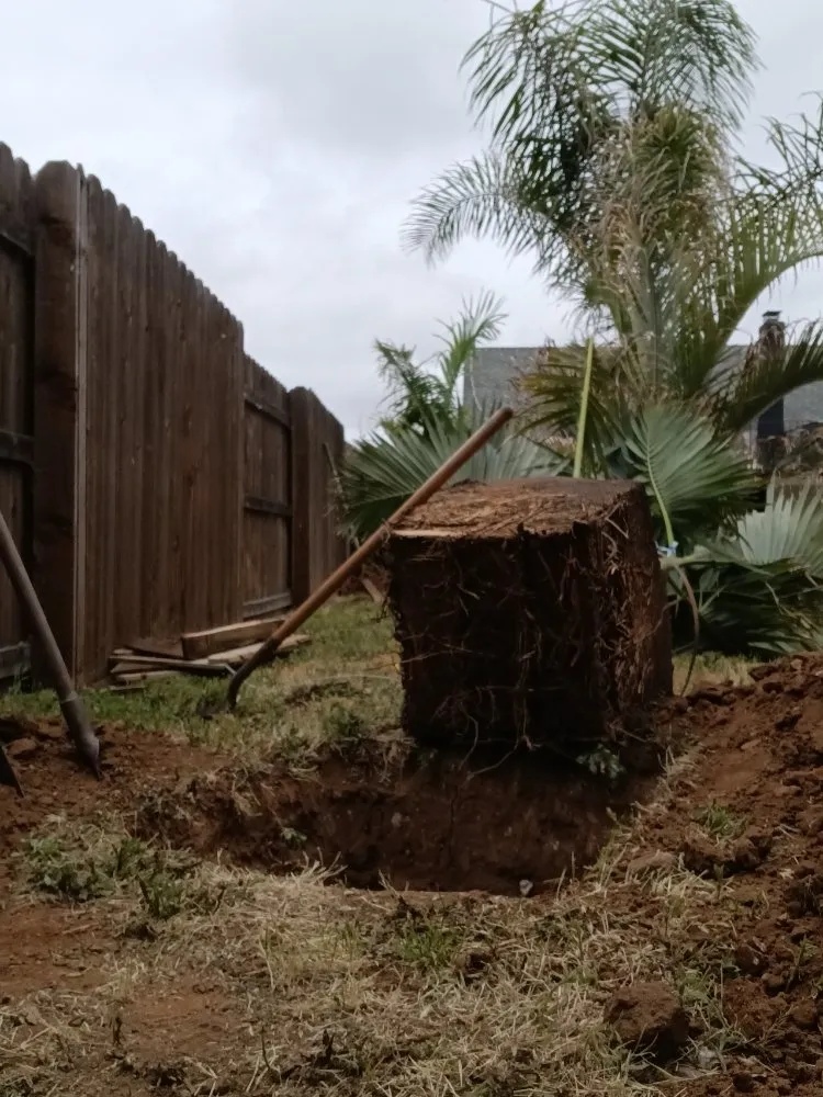 Expert residential landscaping with custom design in Corona, CA by Aiden’s Art Landscape