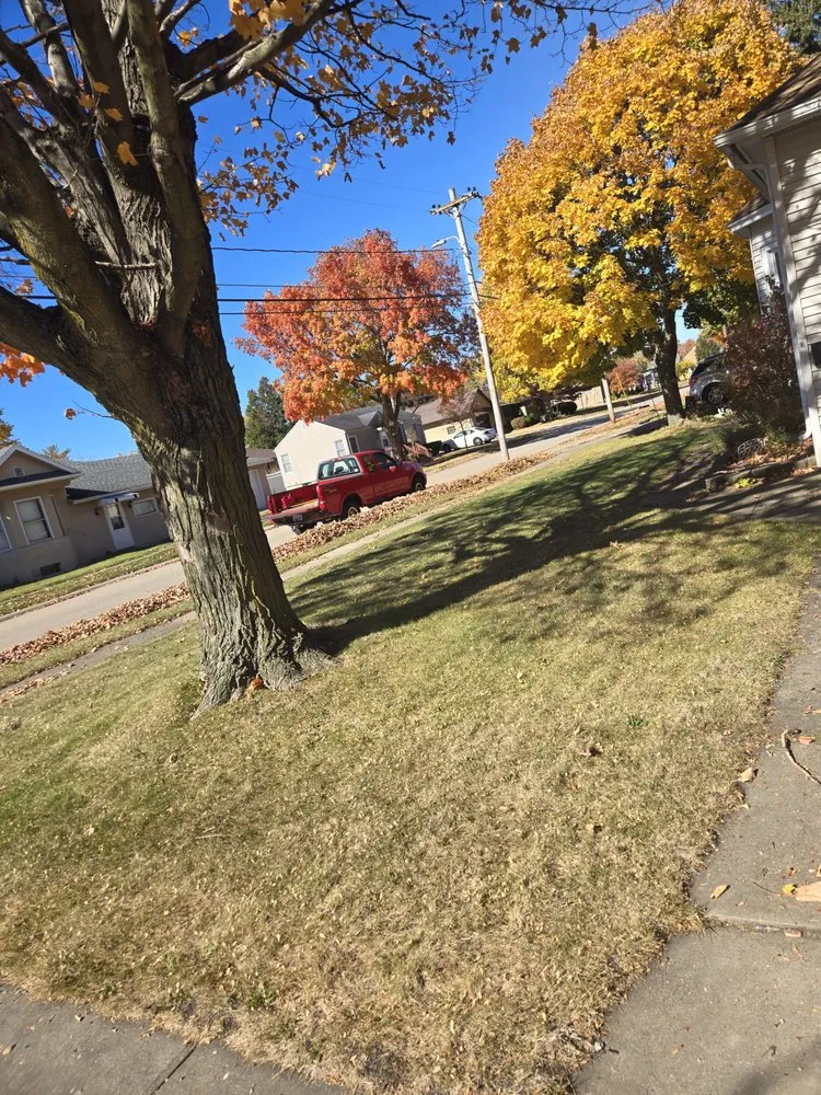 Trusted yard cleanup service for homes in Peru, IL by Aidens lawn care