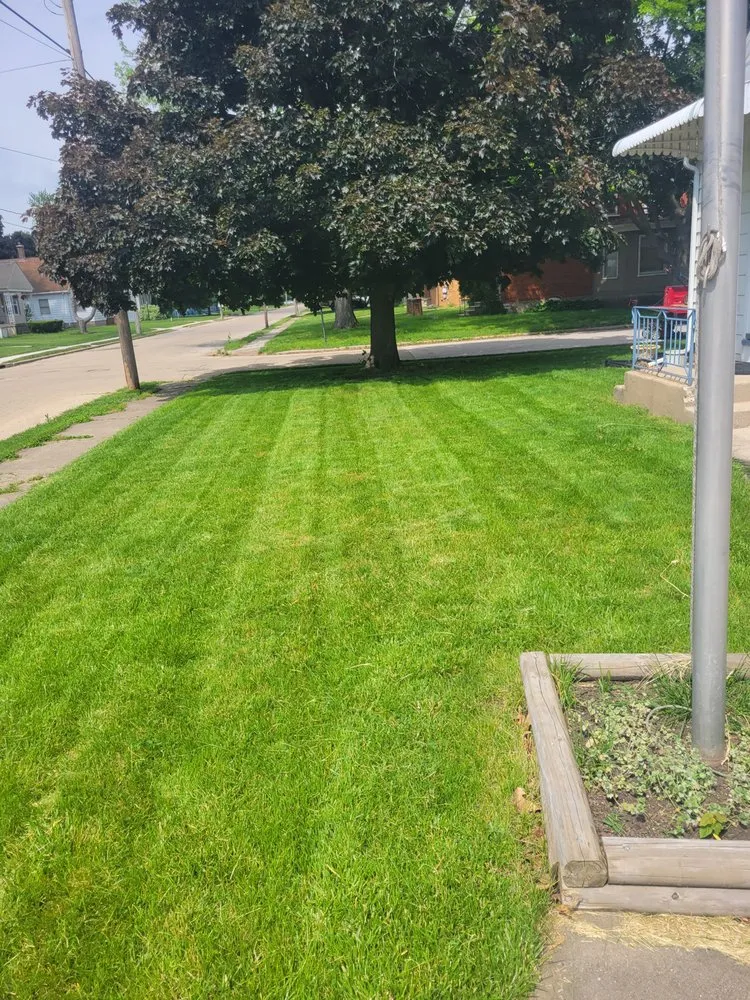 Affordable yard cleanup service experts serving Peru, IL - Aidens lawn care