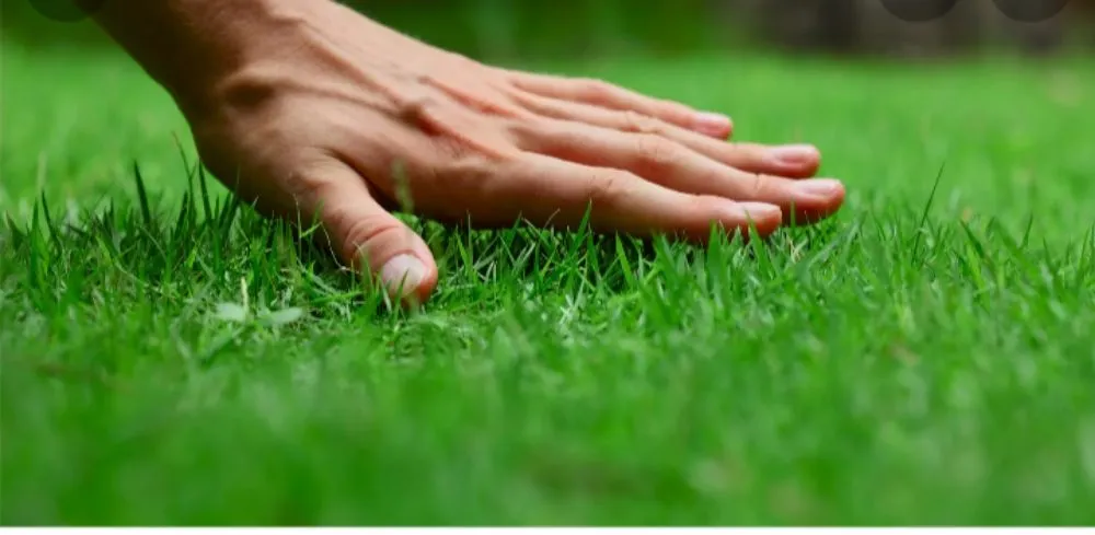 Reliable lawn mowing service with custom design across Marion, OH - Aiden's Lawn Service