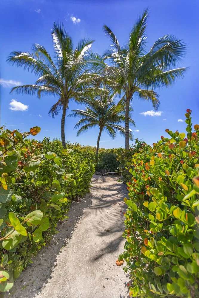 Professional yard cleanup service in Vero Beach, FL by Aiello Landscaping