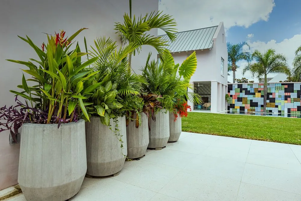 Affordable landscape installation in Vero Beach, FL - Aiello Landscaping