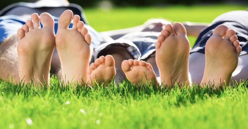 Expert landscaping services for beautiful yards in Port Richey, FL by AIG Lawn and Landscape