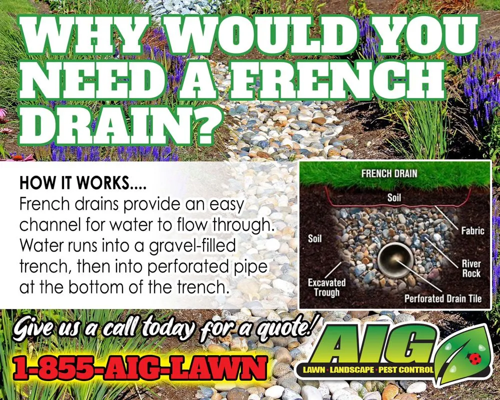 Local lawn mowing service in Port Richey, FL by AIG Lawn and Landscape