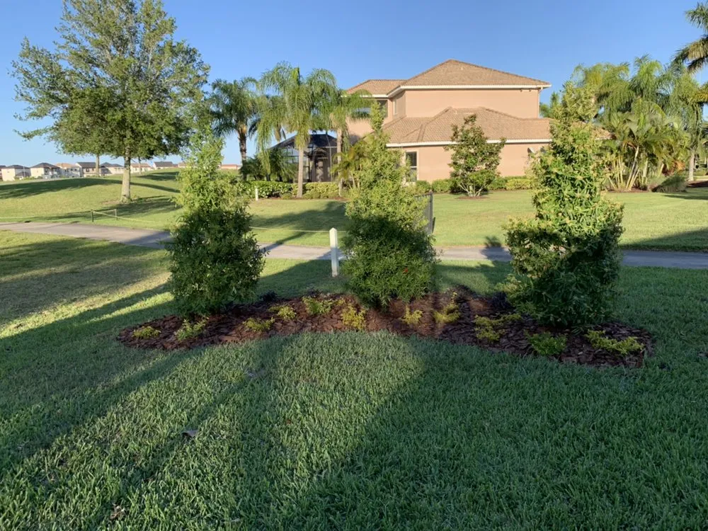Custom lawn care service in Port Richey, FL - AIG Lawn and Landscape
