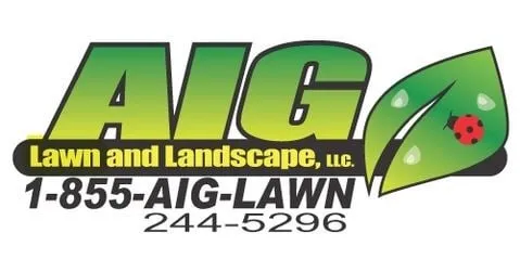 Professional lawn mowing service with custom design in Port Richey, FL by AIG Lawn and Landscape