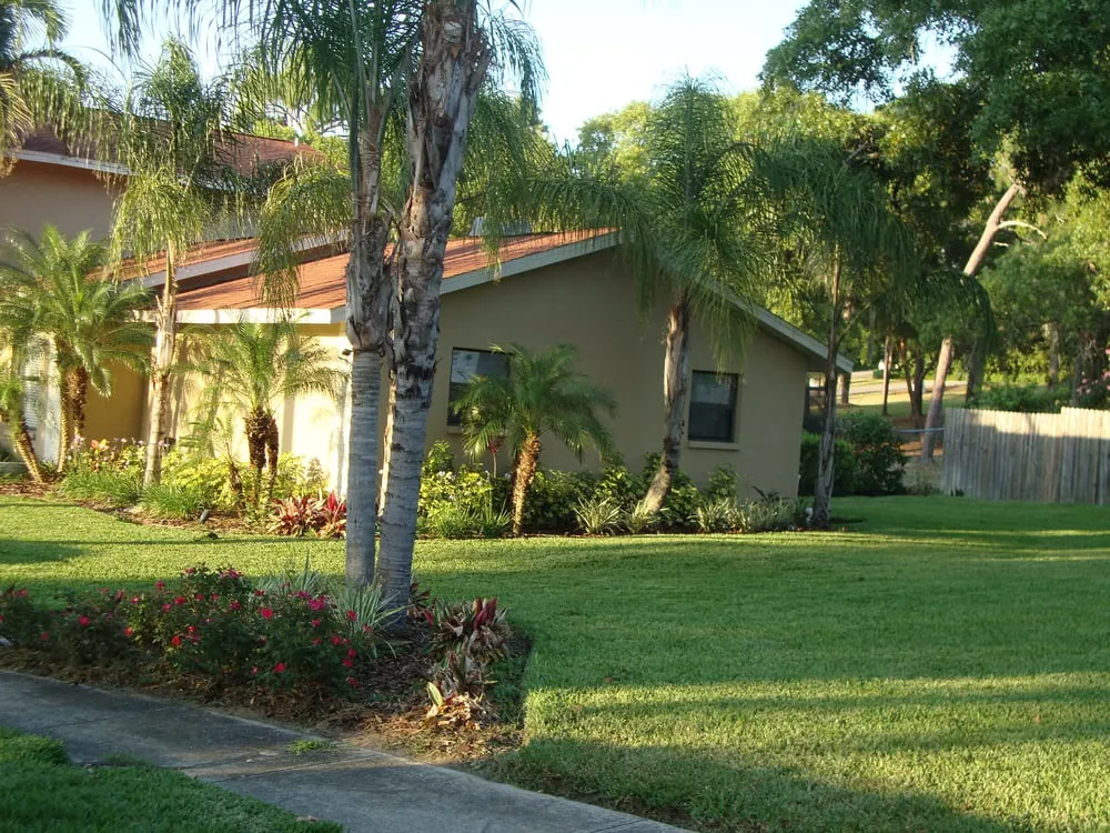 Reliable landscape installation experts serving Port Richey, FL - AIG Lawn and Landscape