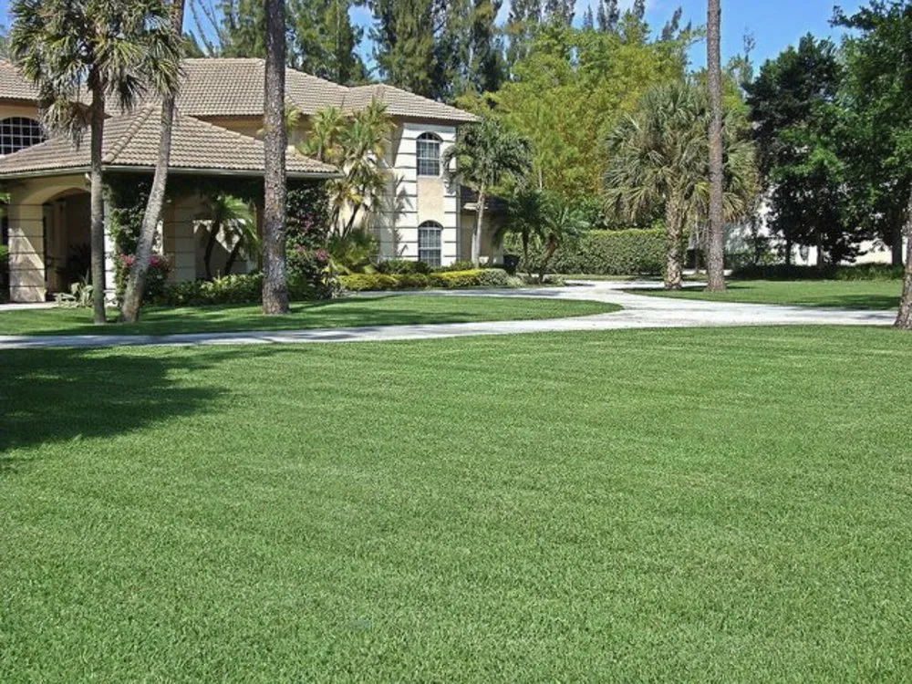 Affordable lawn mowing service experts serving Port Richey, FL - AIG Lawn and Landscape