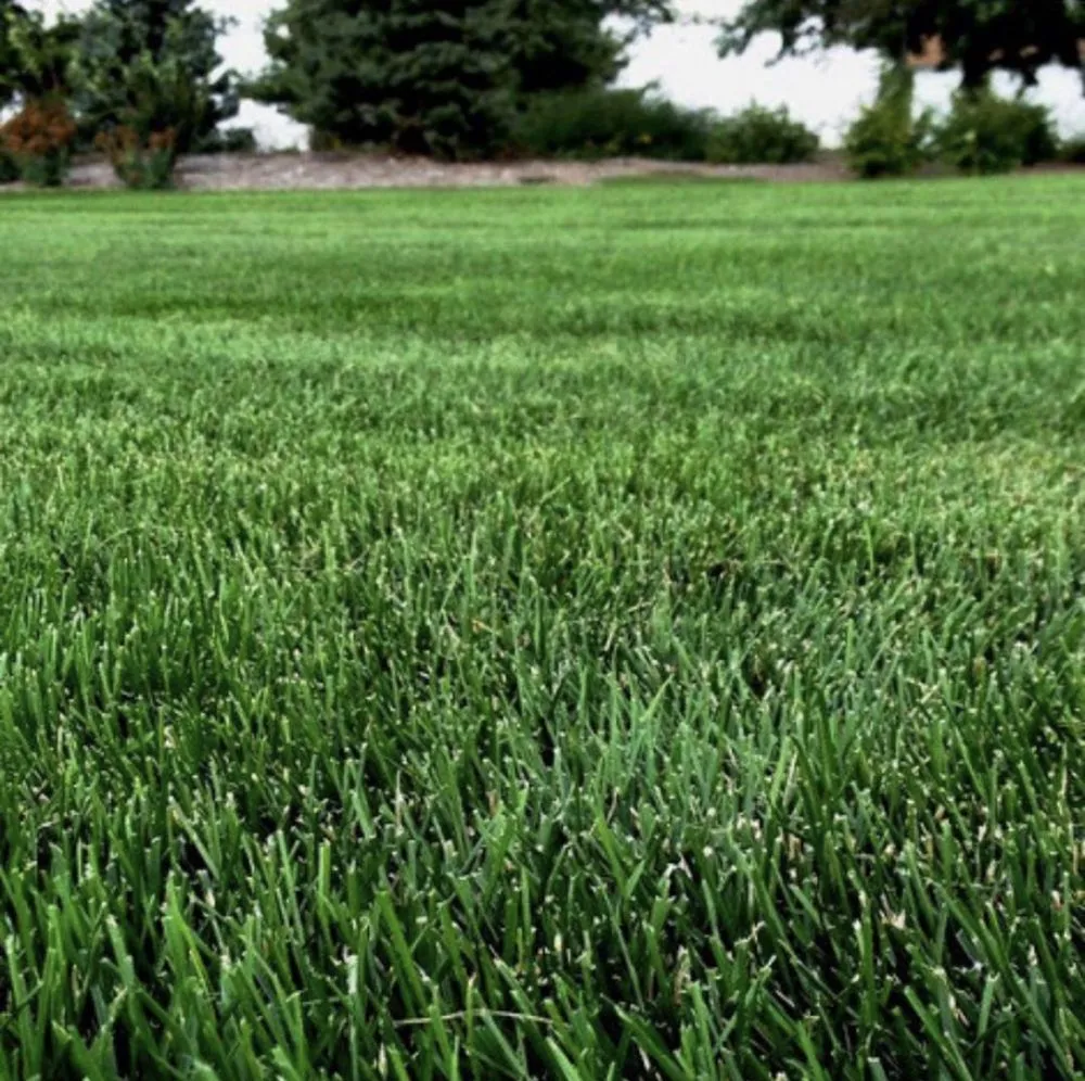 Expert outdoor landscaping in Port Richey, FL by AIG Lawn and Landscape