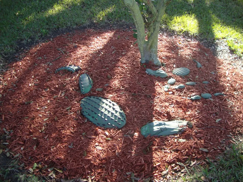 Professional lawn care service in Port Richey, FL - AIG Lawn and Landscape