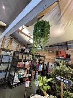 Professional lawn mowing service in Kapaau, HI - Aikane Landscape Supply