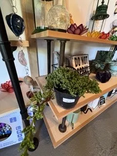 Affordable yard cleanup service in Kapaau, HI - Aikane Landscape Supply