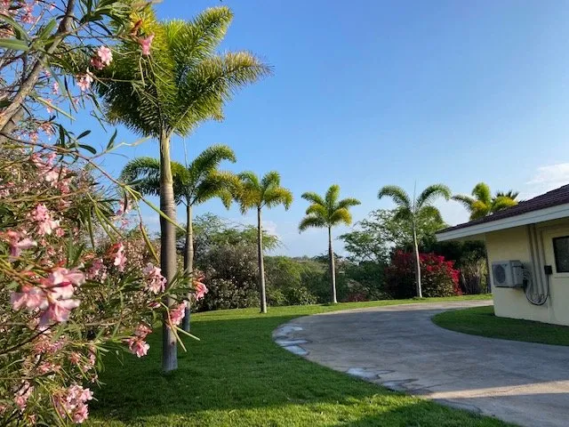 Trusted lawn mowing service near you across Hawi, HI - Aikane Nursery