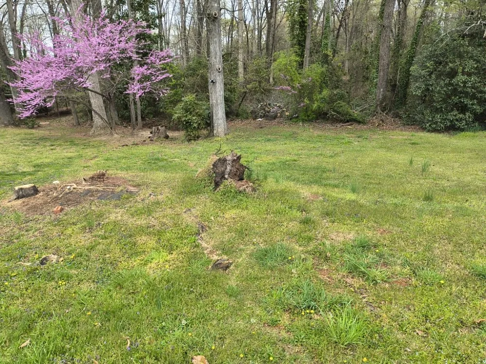 Professional landscaping services for outdoor upgrades across Travelers Rest, SC - Aiken Atkins Landscaping