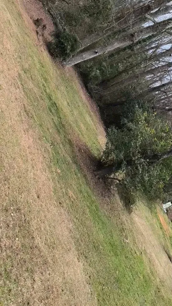 Top-rated yard maintenance experts serving Travelers Rest, SC - Aiken Atkins Landscaping