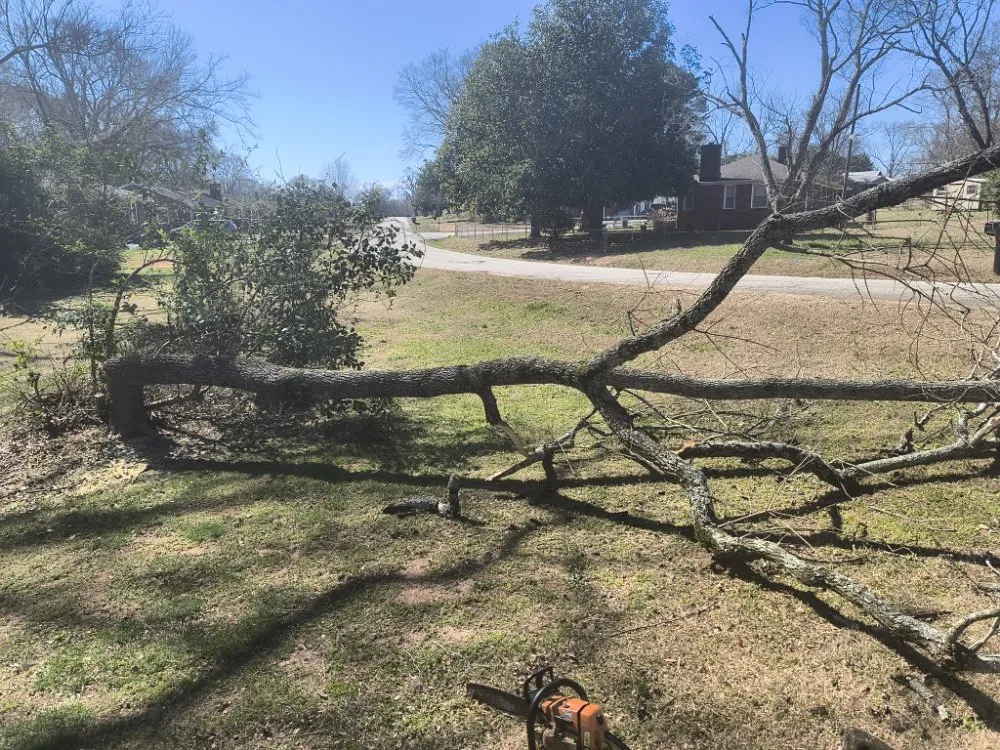 Custom residential landscaping for homes in Travelers Rest, SC by Aiken Atkins Landscaping