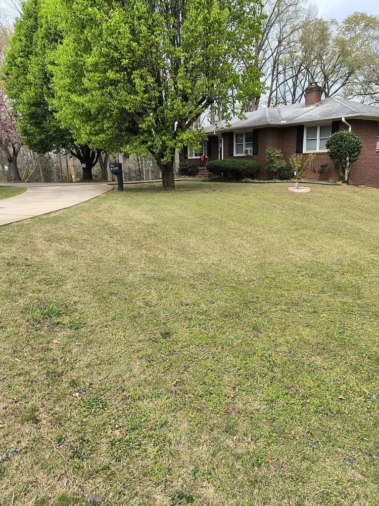 Affordable lawn care service for homes across Travelers Rest, SC - Aiken Atkins Landscaping