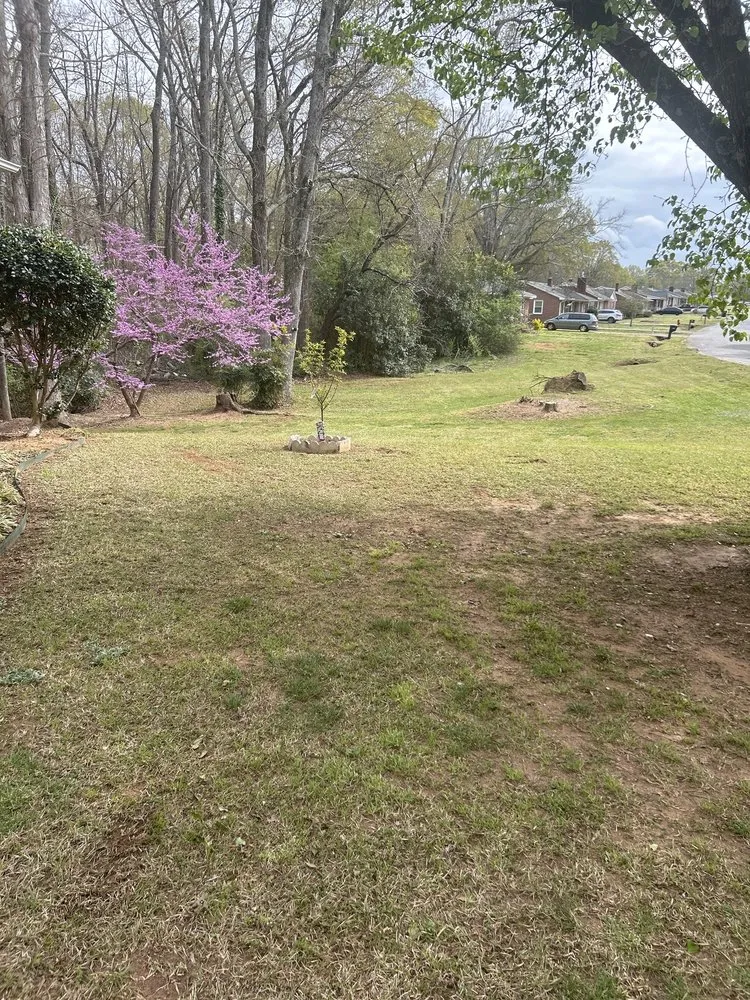 Expert landscaping services in Travelers Rest, SC - Aiken Atkins Landscaping