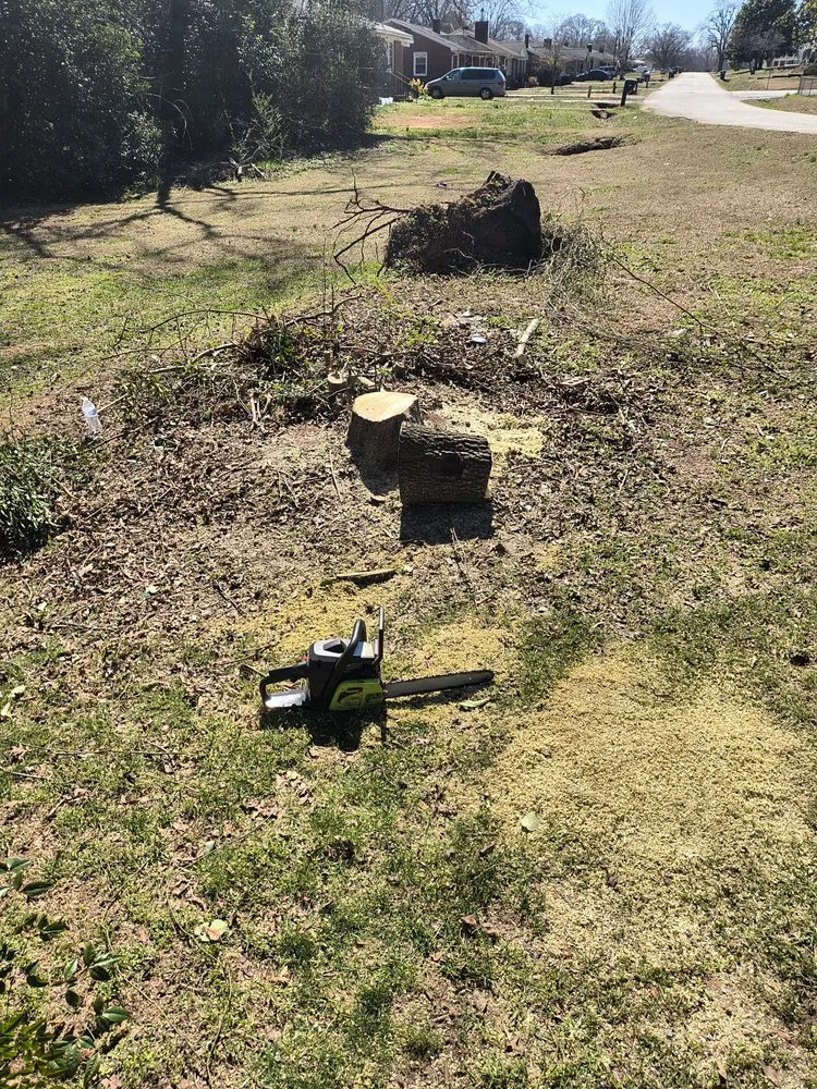 Affordable outdoor landscaping experts serving Travelers Rest, SC - Aiken Atkins Landscaping