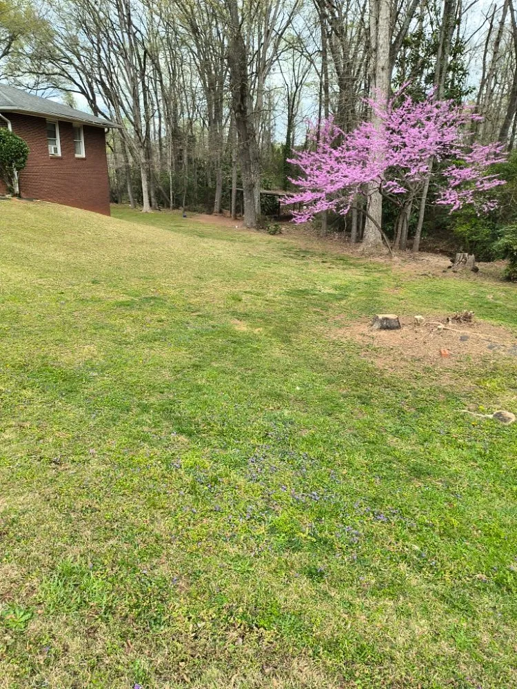 Professional landscaping services for homes in Travelers Rest, SC by Aiken Atkins Landscaping