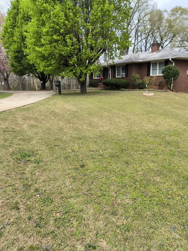 Affordable yard cleanup service experts serving Travelers Rest, SC - Aiken Atkins Landscaping