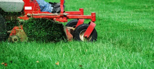 Custom landscaping services for beautiful yards across Gonzales, LA - Aikens Lawn Care