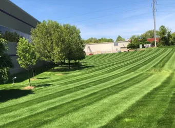 Top-rated residential landscaping in Gonzales, LA by Aikens Lawn Care