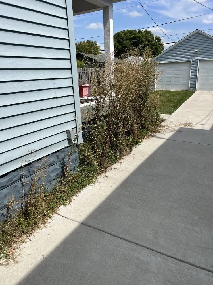 Top-rated yard maintenance for beautiful yards in Lombard, IL by Aikman Lawn Service