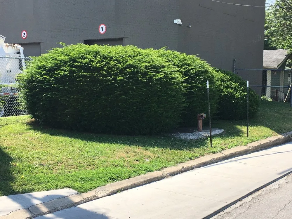 Local garden landscaping in Lombard, IL - Aikman Lawn Service