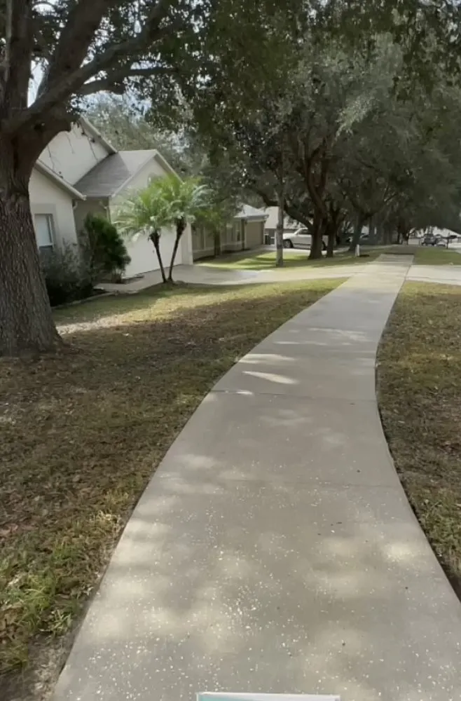 Local yard cleanup service for year-round maintenance across Jacksonville, FL - AIl In One Scrappers