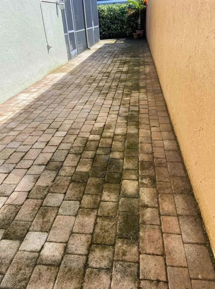 Affordable landscape installation near you across Jacksonville, FL - AIl In One Scrappers