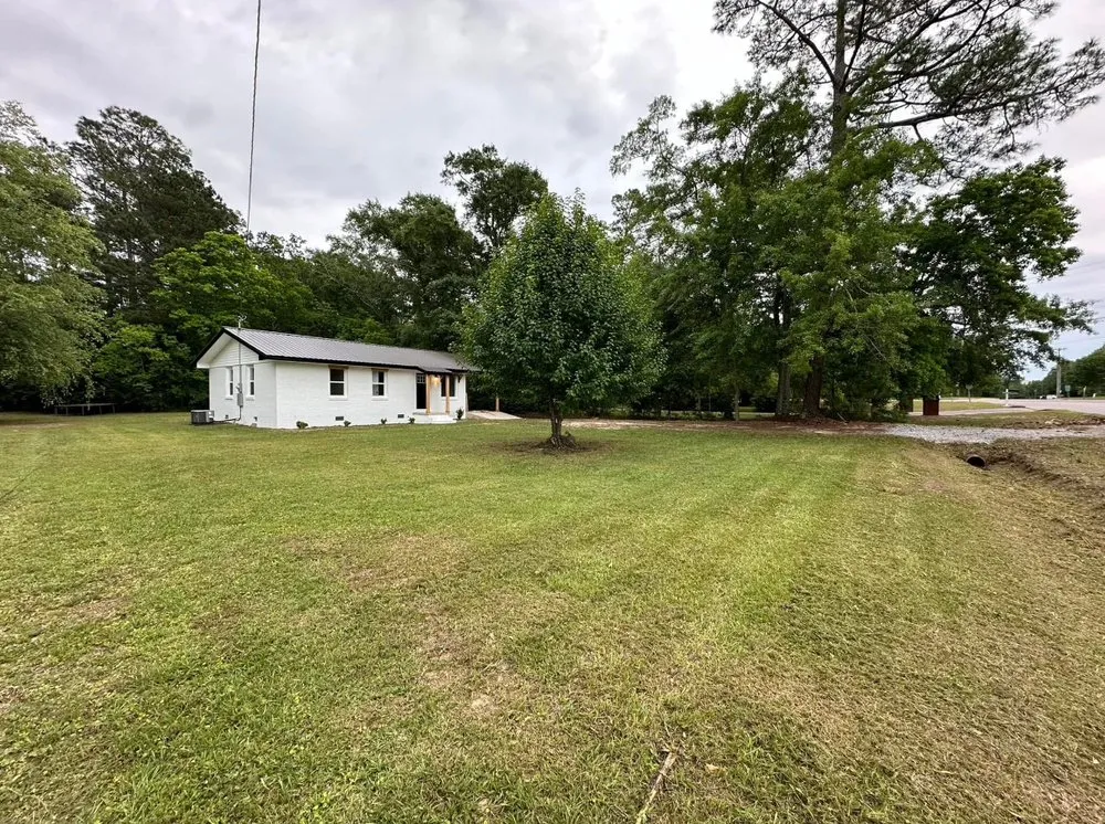 Expert yard cleanup service for year-round maintenance in Jacksonville, FL by AIl In One Scrappers