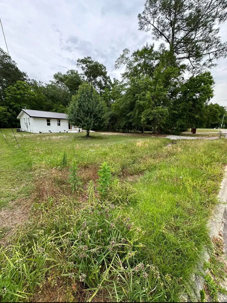 Top-rated landscaping services for year-round maintenance in Jacksonville, FL by AIl In One Scrappers