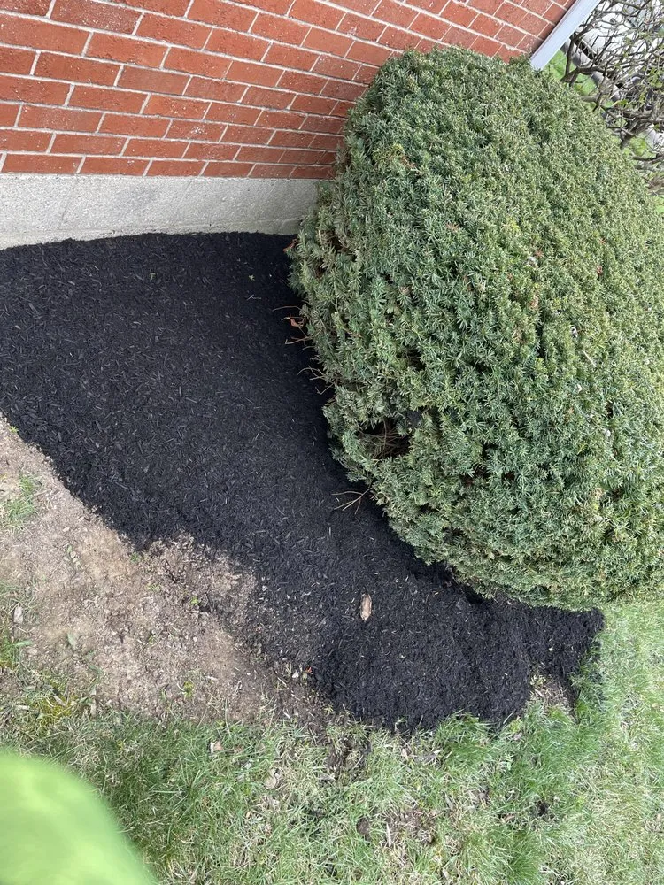 Affordable landscaping services for homes in Fairborn, OH by Aim 2 Smile
