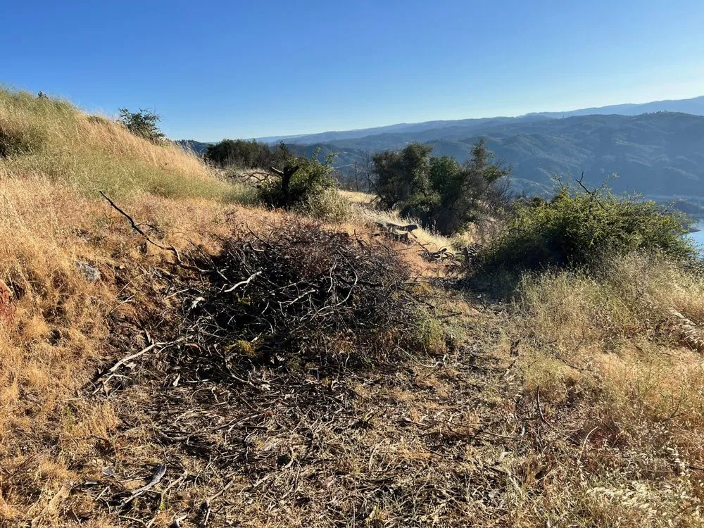 Trusted lawn care service experts serving Oroville, CA - AIM Excavation