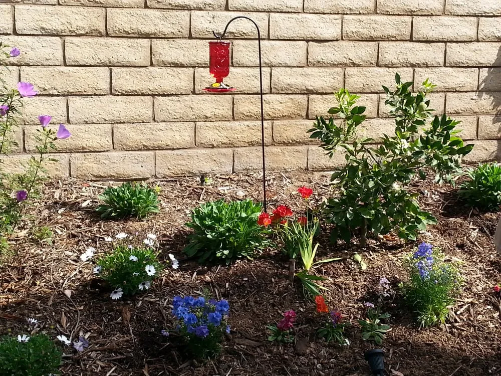 Custom outdoor landscaping in Canyon Country, CA - AIM Landscape & Irrigation
