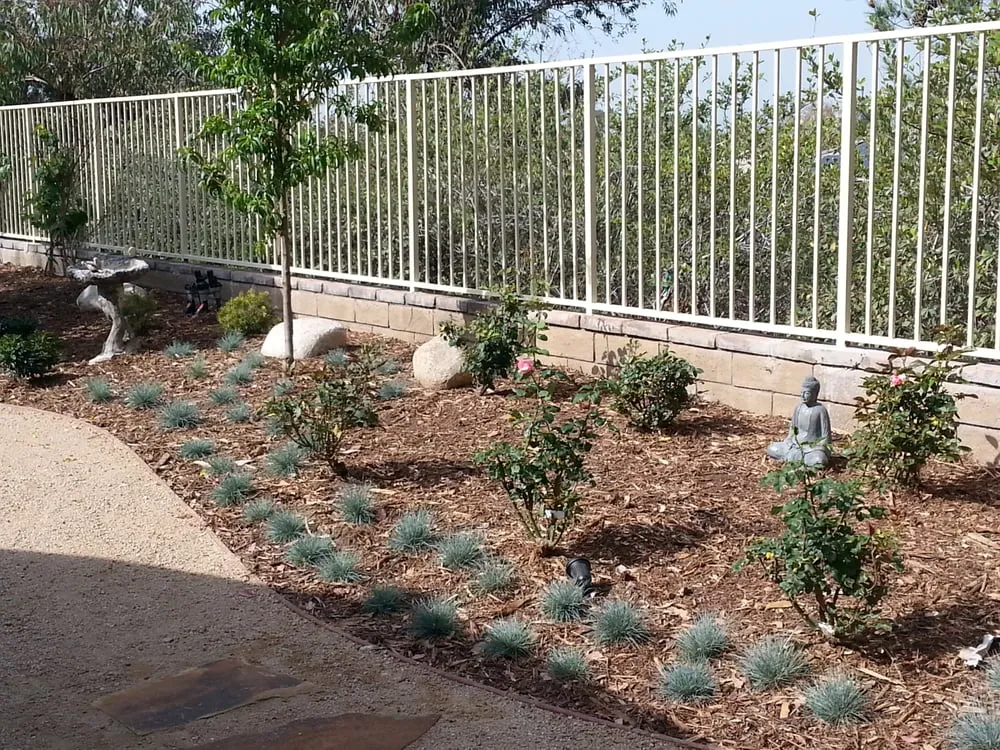Top-rated landscape design near you in Canyon Country, CA by AIM Landscape & Irrigation