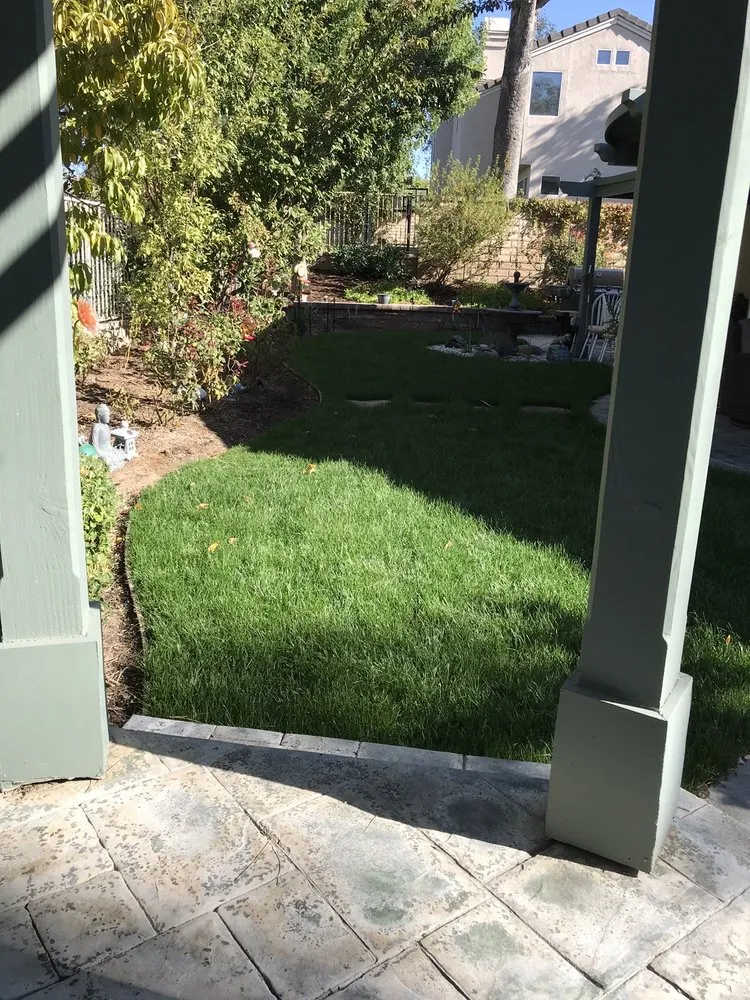 Professional yard cleanup service in Canyon Country, CA by AIM Landscape & Irrigation
